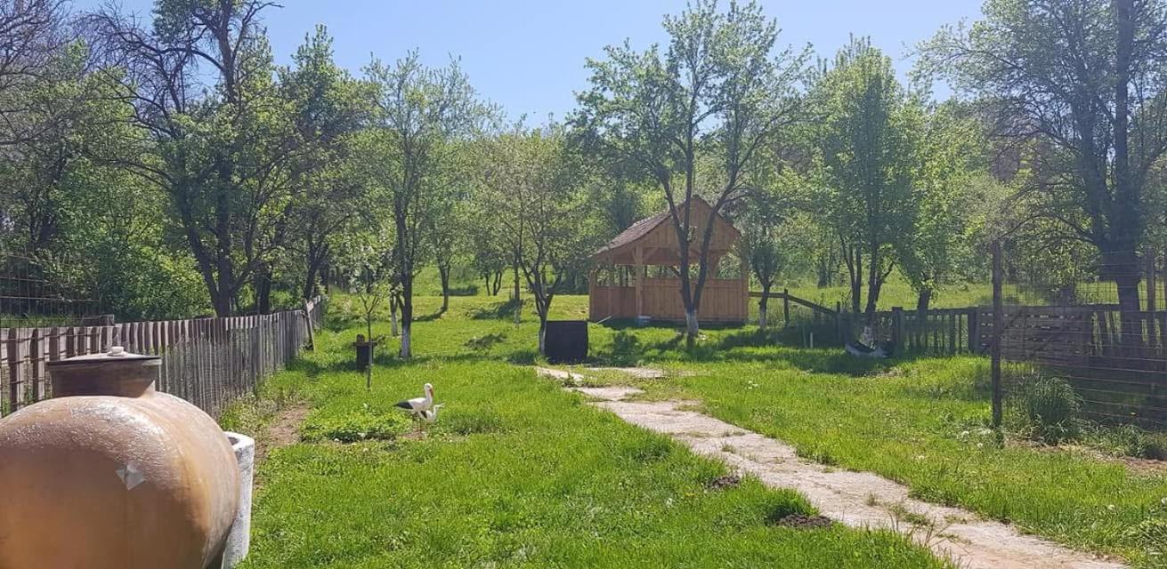 Viscri 143 Villa Екстериор снимка